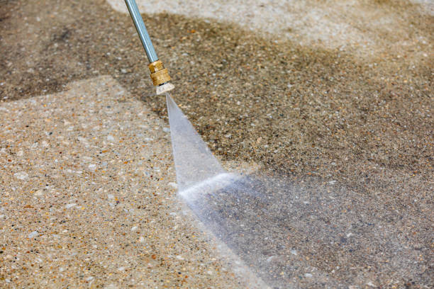 Best Roof Washing  in Monticello, MN
